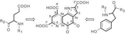 Chemical structure of PQQ.