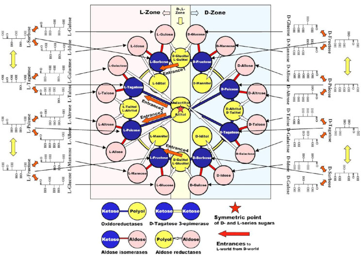 Hexose Izumoring, a strategy to design the process of all hexoses production.