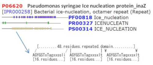Pseudomonas syringae pv. syringae Ice nucleation protein P06620