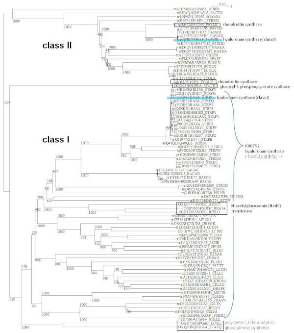 Phylogenetic tree of hyaluronate lyase