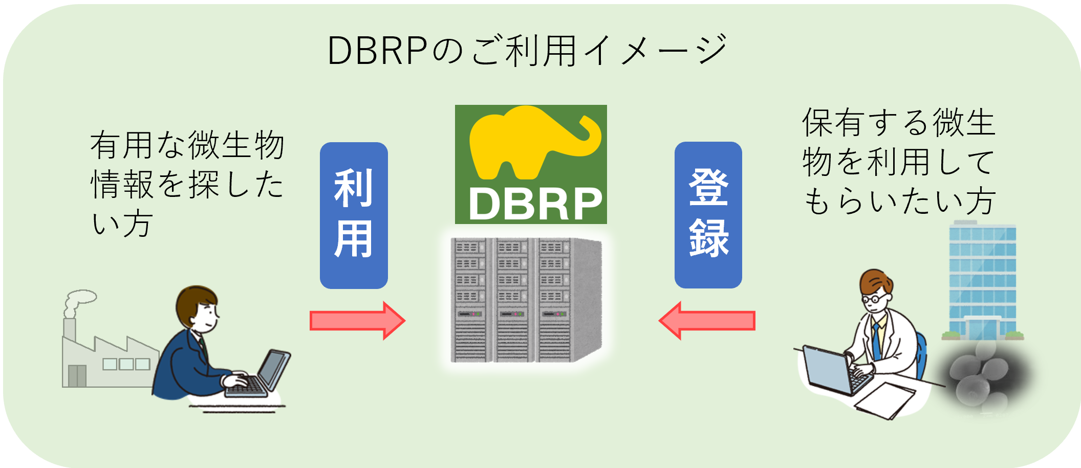 DBRPでできること