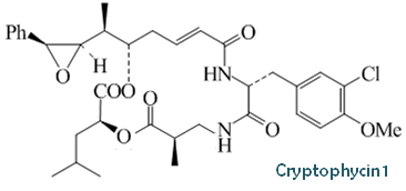 Cryptophycin 1