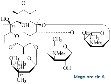 Megalomicin