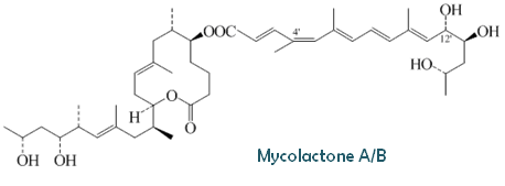 Mycolactone