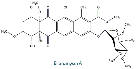 Elloramycin