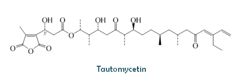 Tautomycetin