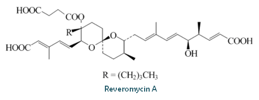 Reveromycin
