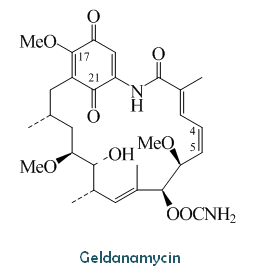 Geldanamycin2