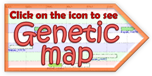 Click on the icon to see Genetic map.